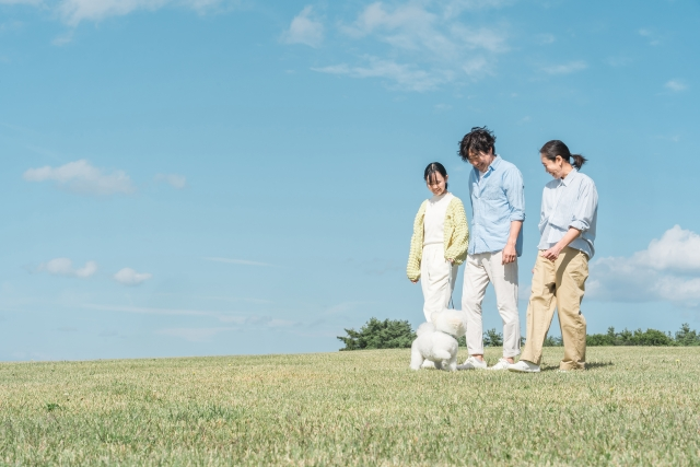 不登校の中学生の過ごし方に関するまとめ